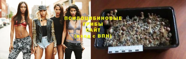 a pvp Кущёвская