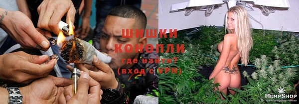 гидропоника Карталы