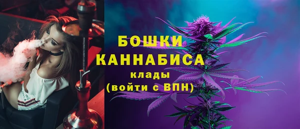 амф Козельск